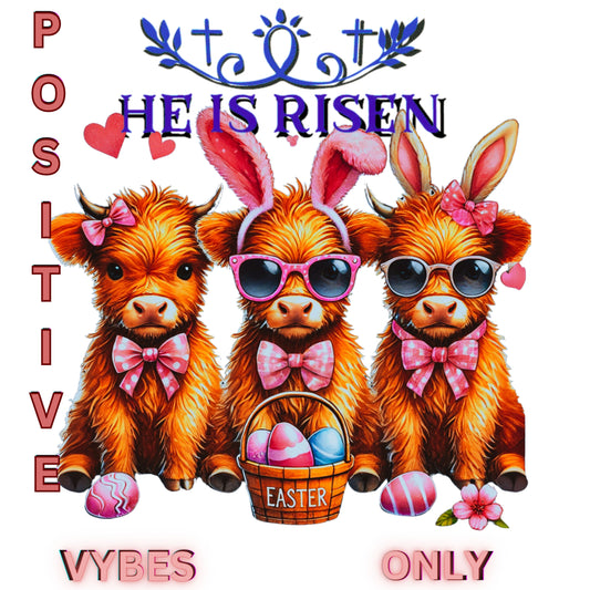 "He Is Risen Easter" Gildan Soft style Tee